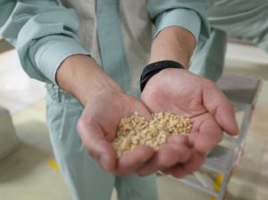 2019年 10月10日、11日大分は三和酒類さんに行ってまいりました。